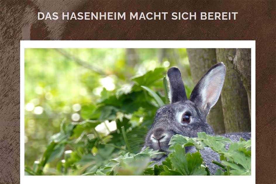 Restaurant Hasenheim 74343 Sachsenheim