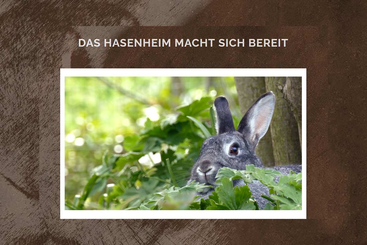 Restaurant Hasenheim 74343 Sachsenheim
